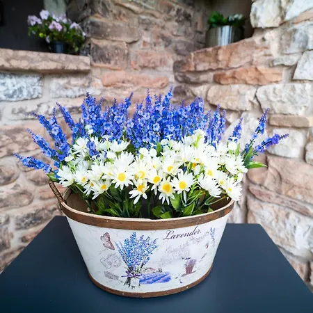 Semesterbostad Graceful In With Swimming Pool